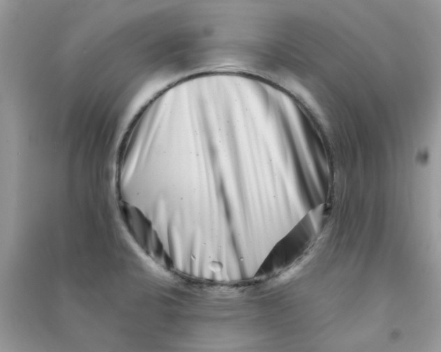 X0000090721424200708171917