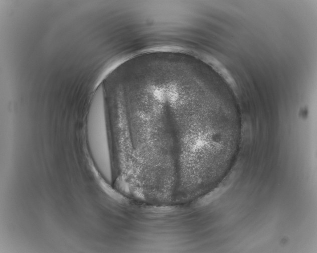 X0000090721425200708171917