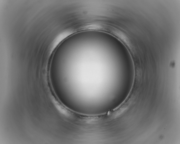 X0000090721426200708171917