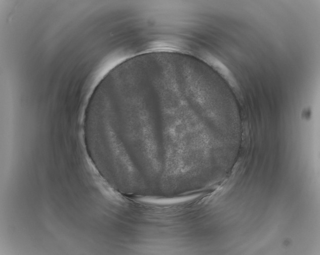 X0000090721427200708171917