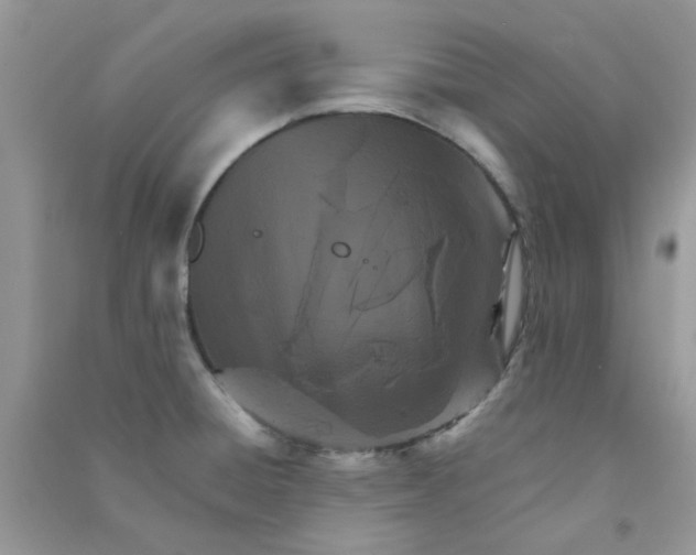 X0000090721428200708171917