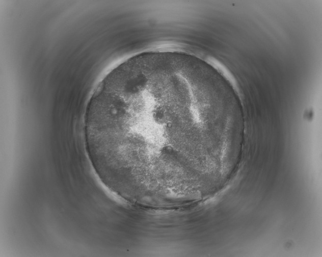 X0000090721429200708171917