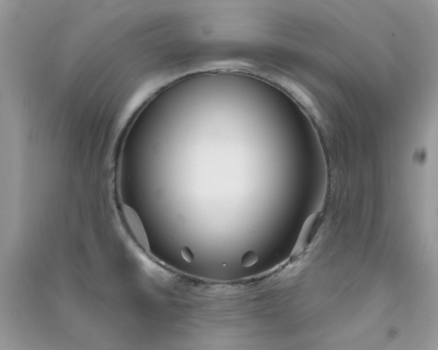 X0000090721430200708171917