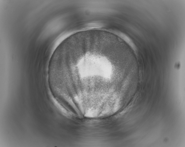 X0000090721431200708171917