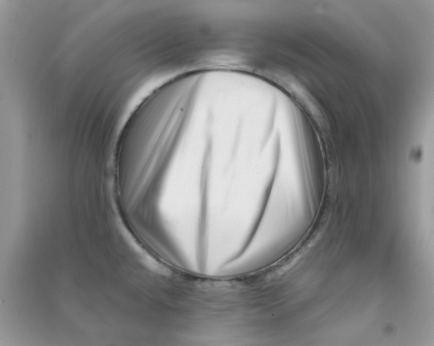 X0000090721432200708171917