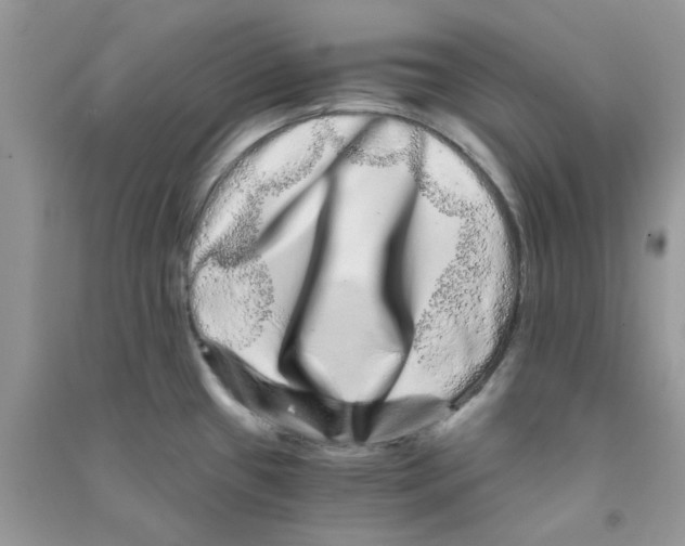 X0000090721433200708171917