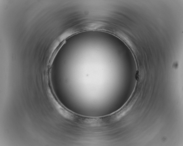 X0000090721434200708171917