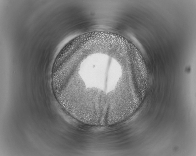 X0000090721435200708171917