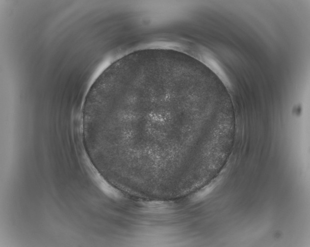 X0000090721436200708171917