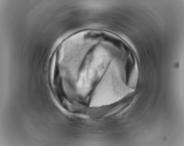 X0000090721437200708171917