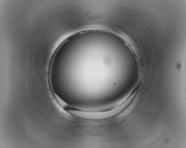 X0000090721438200708171917