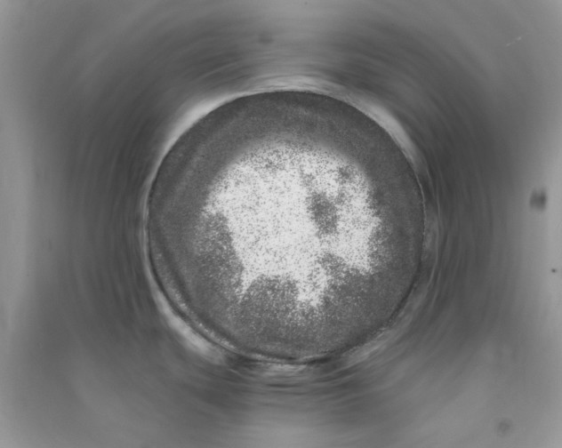 X0000090721439200708171917