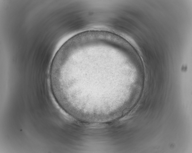 X0000090721440200708171917