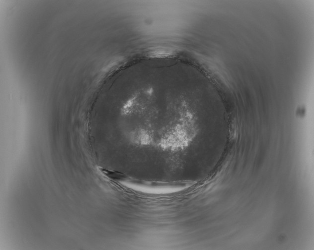 X0000090721441200708171917