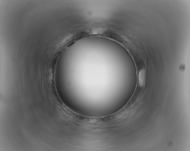 X0000090721443200708171917