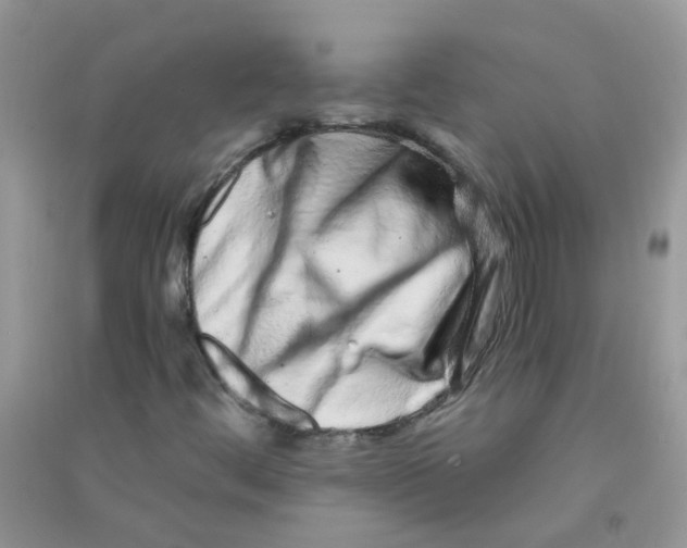 X0000090721444200708171917