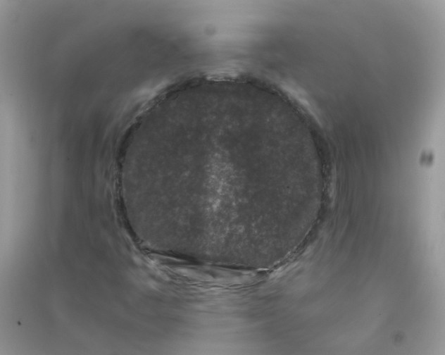 X0000090721445200708171917