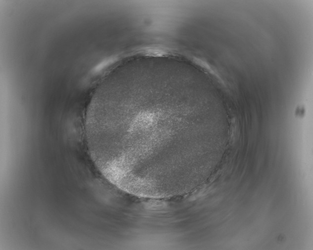 X0000090721446200708171917