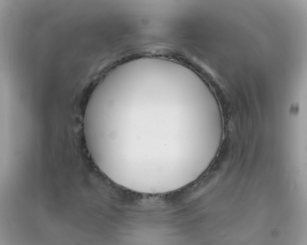 X0000090721447200708171917