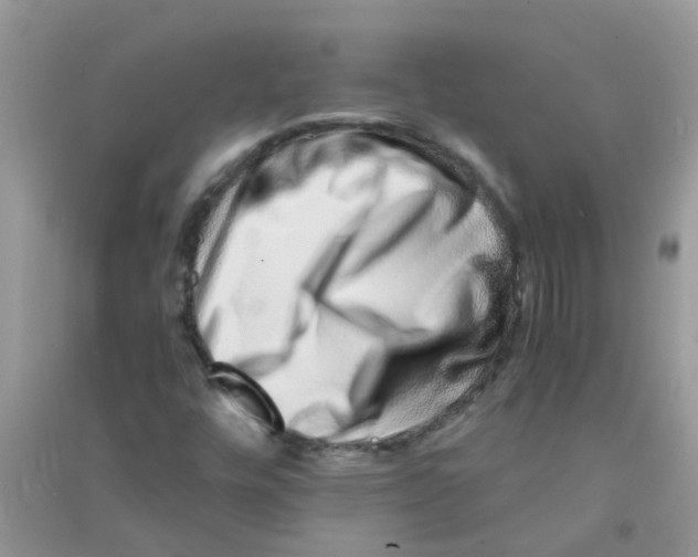 X0000090721448200708171917