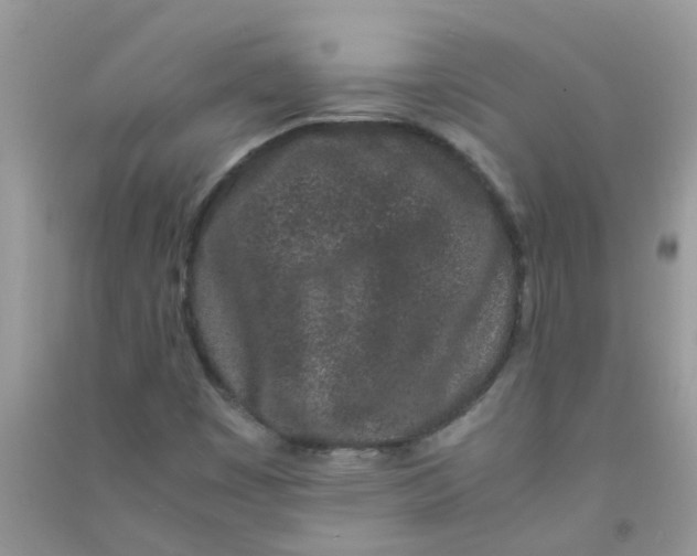 X0000090721449200708171917