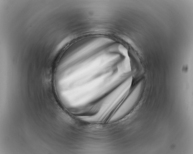 X0000090721450200708171917