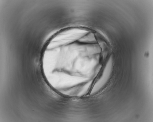 X0000090721452200708171916