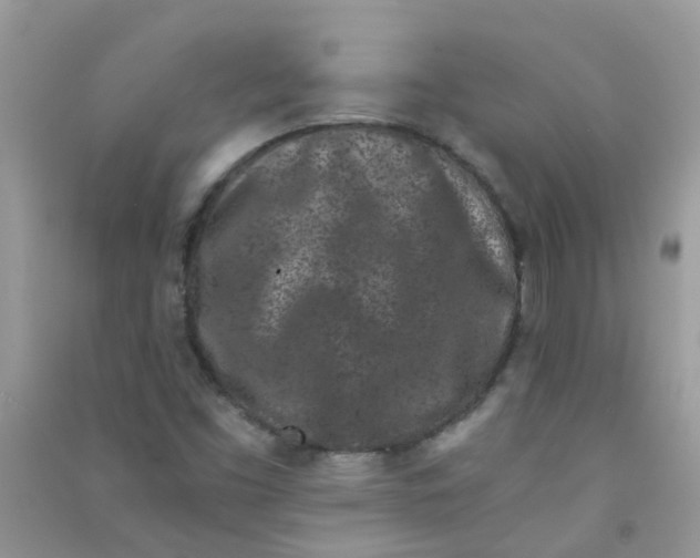 X0000090721453200708171916