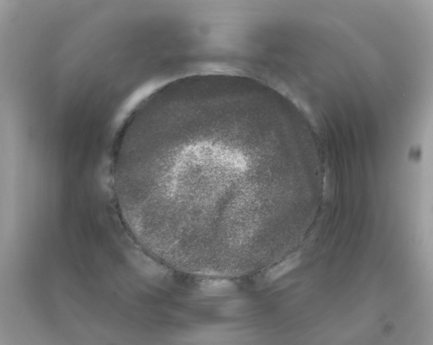 X0000090721454200708171916