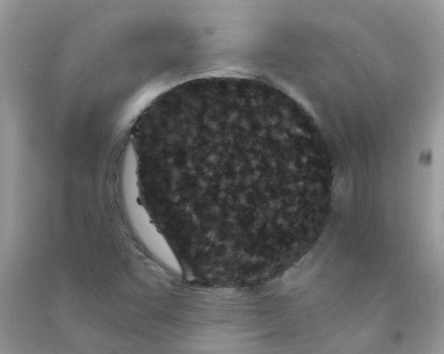 X0000090721455200708171916