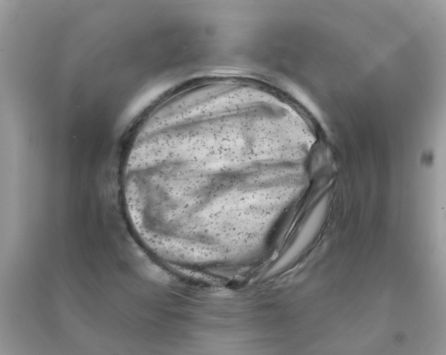 X0000090721456200708171916