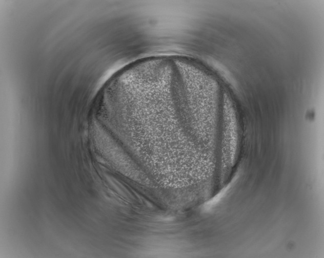 X0000090721457200708171916