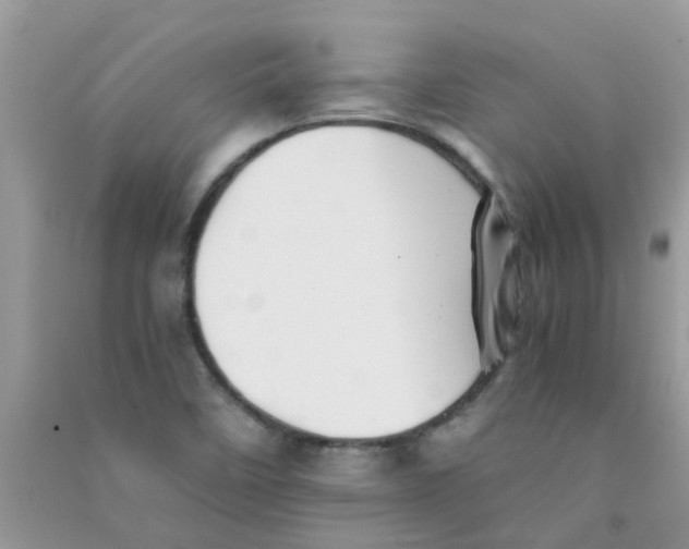 X0000090721458200708171916