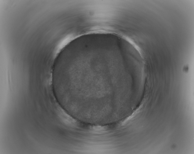 X0000090721459200708171916