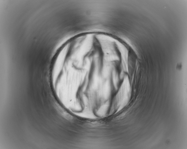 X0000090721460200708171916