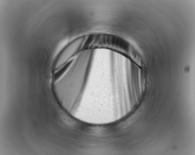 X0000090721461200708171916