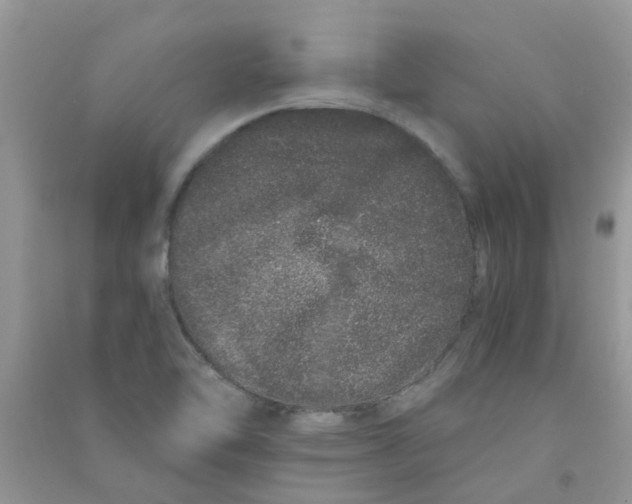 X0000090721462200708171916