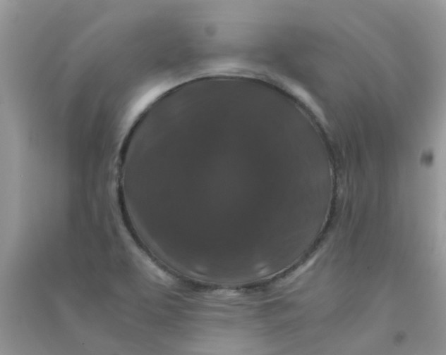 X0000090721463200708171916