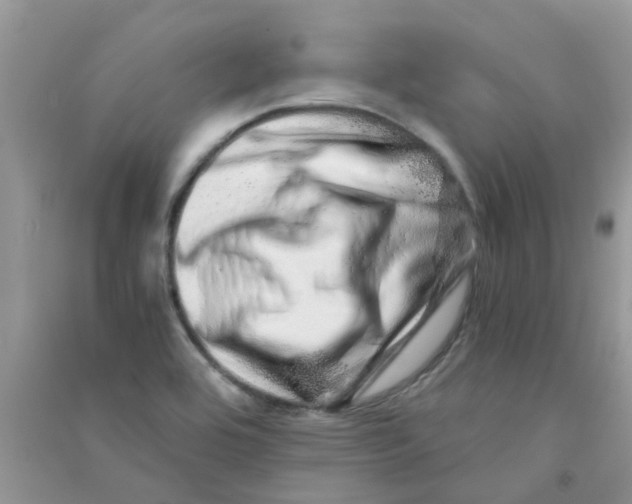 X0000090721464200708171916