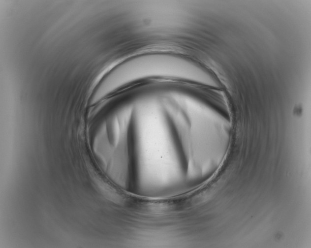 X0000090721465200708171916