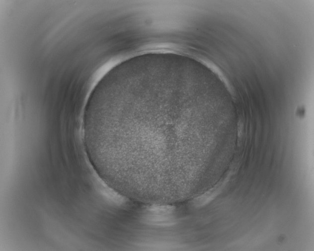 X0000090721466200708171916