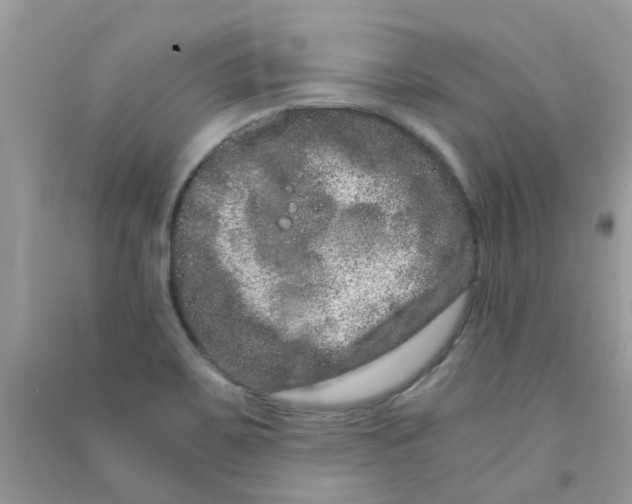 X0000090721467200708171916