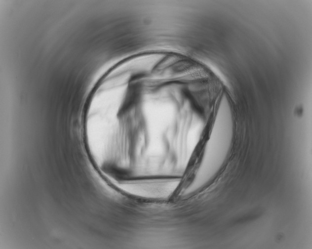 X0000090721468200708171916