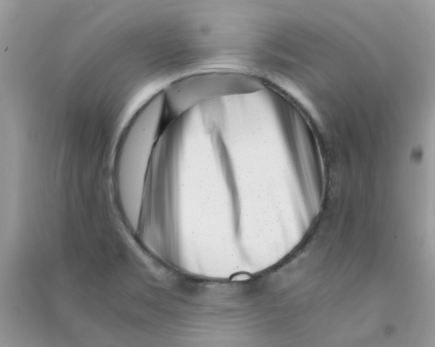 X0000090721469200708171916