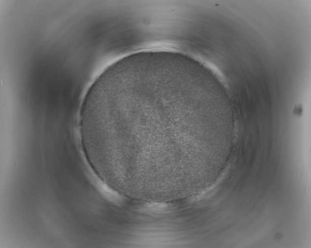 X0000090721470200708171916