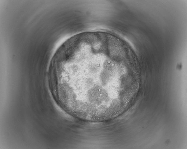 X0000090721471200708171916