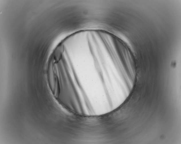 X0000090721472200708171916