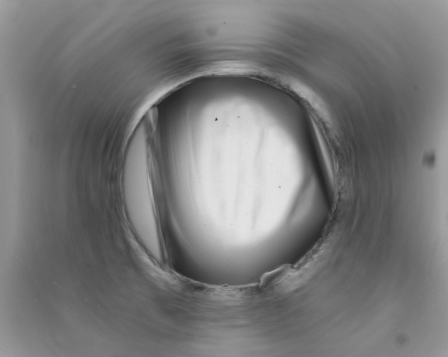 X0000090721473200708171916