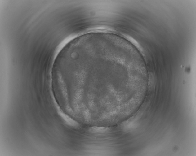 X0000090721474200708171916