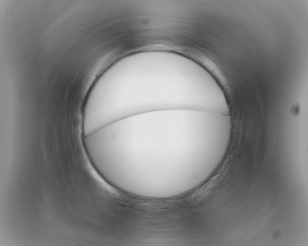 X0000090721476200708171916